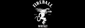 HOME fireball logo